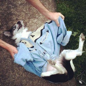 Meet your Posher, Sara